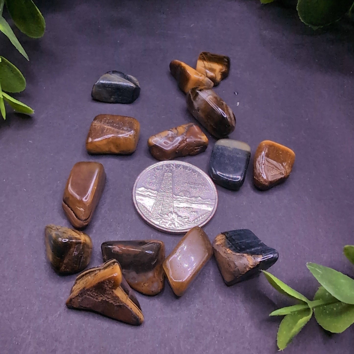 Tiger Eye Tumbled Healing Stone (XS)