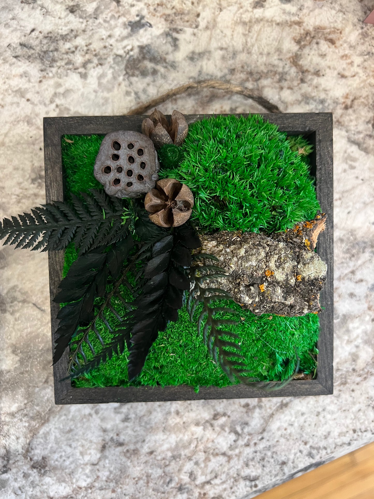 Moss Art