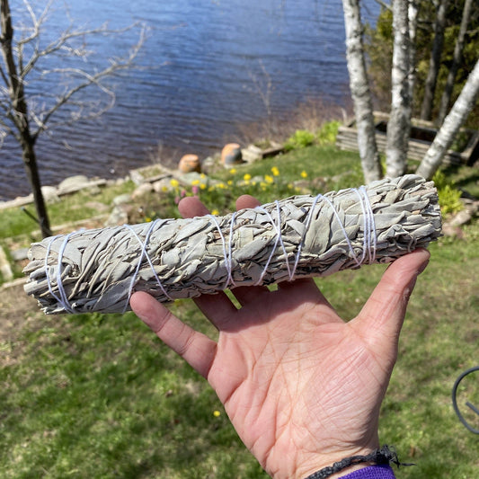 8-9” White Sage Smudging Sticks