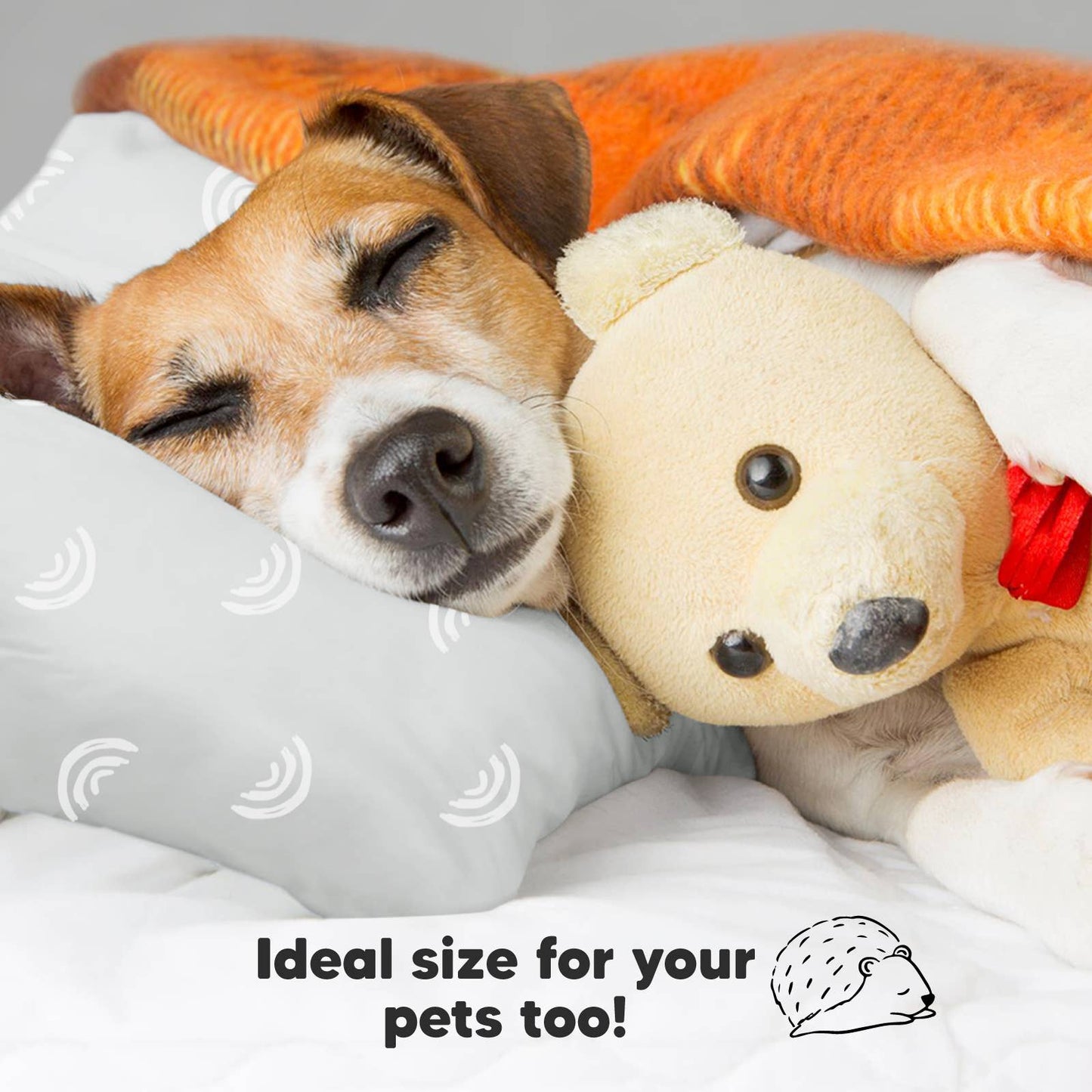 2-Pack Toddler Pillows for sleeping, 13X18