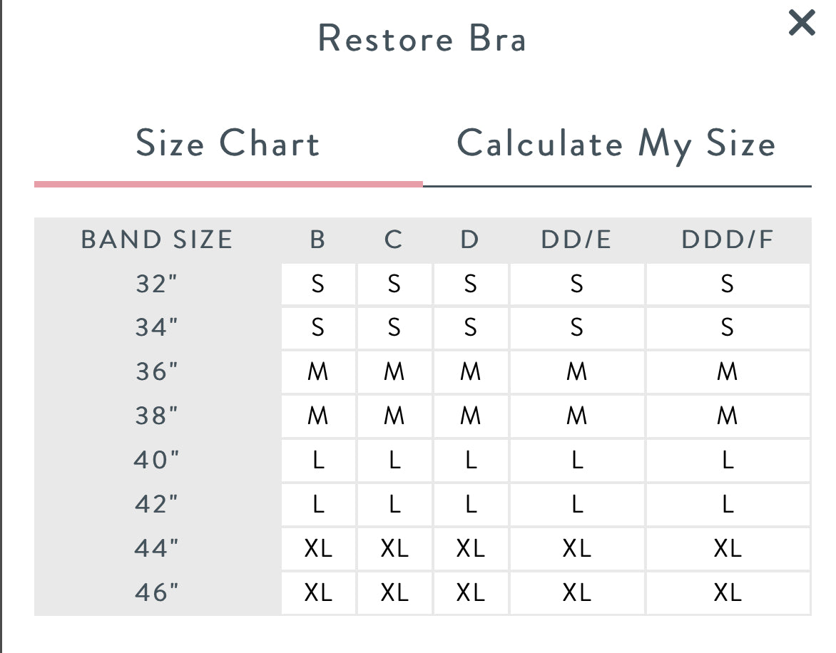 Restore Nursing Bra