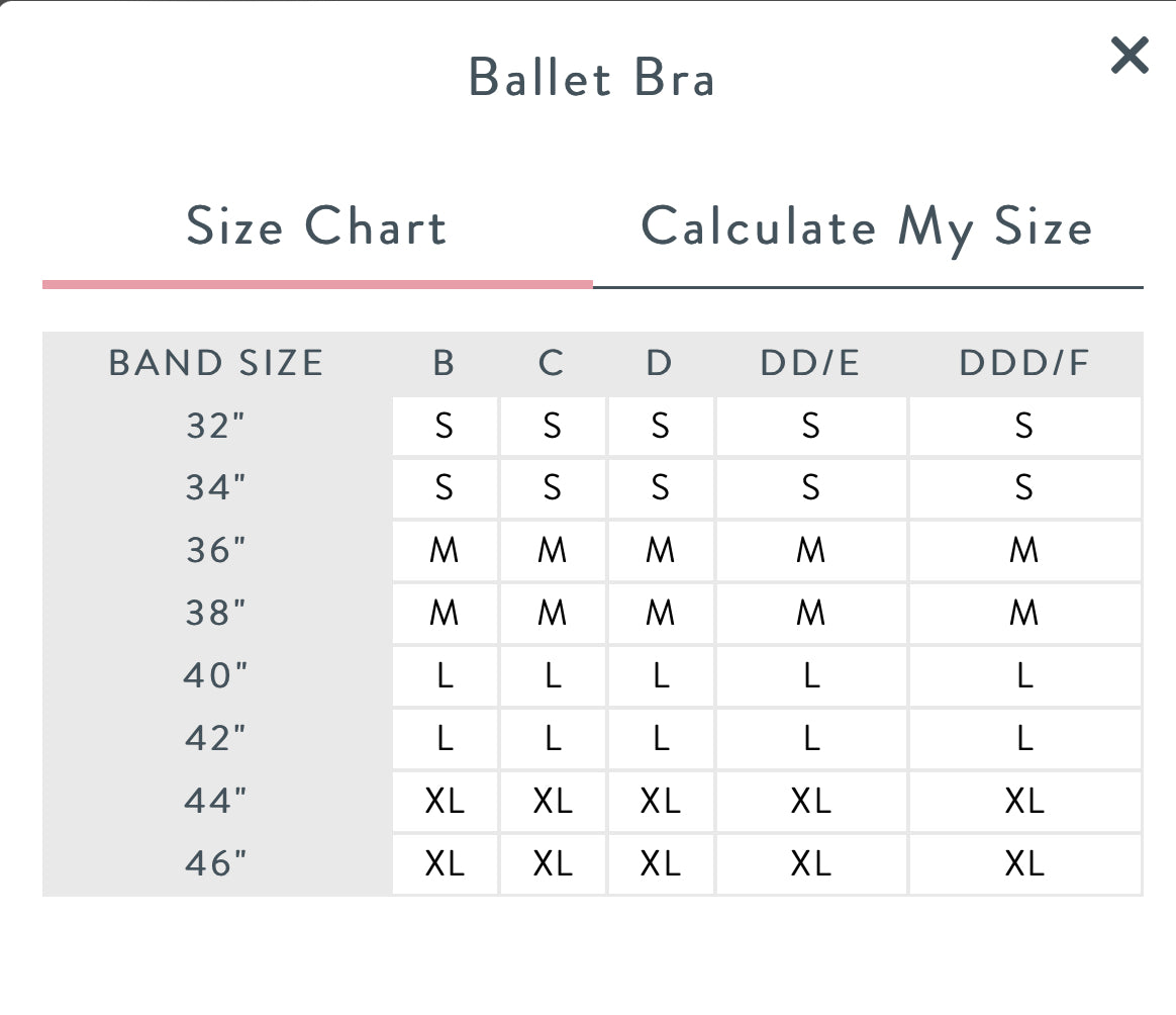 Ballet Nursing Bra