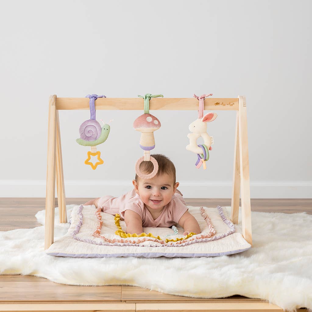 Bespoke Ritzy Activity Gym™ Wooden Gym Pastel