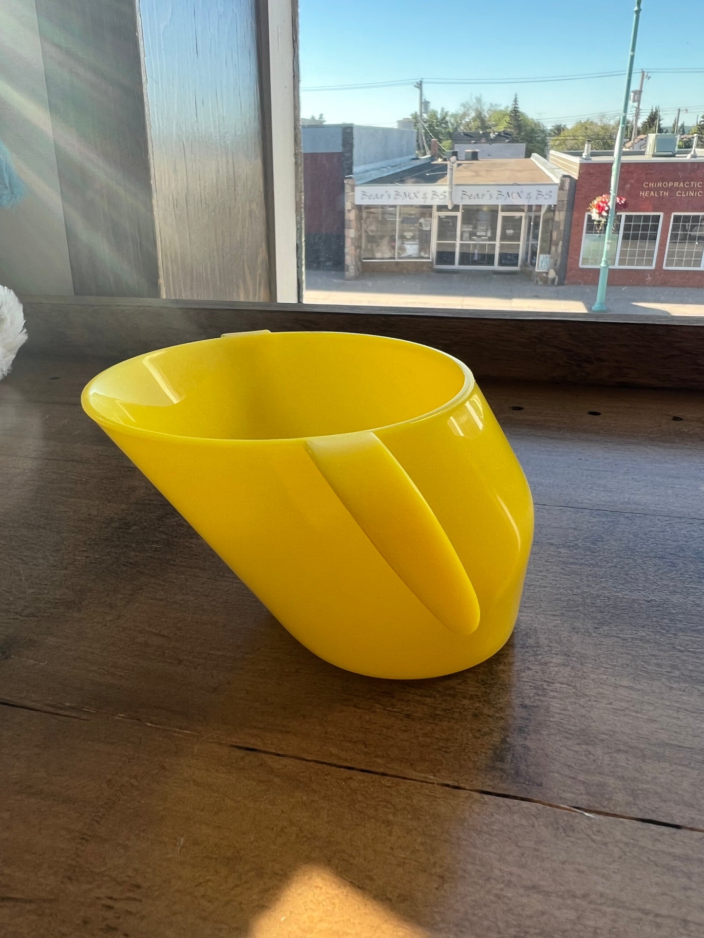 DOIDY Cup