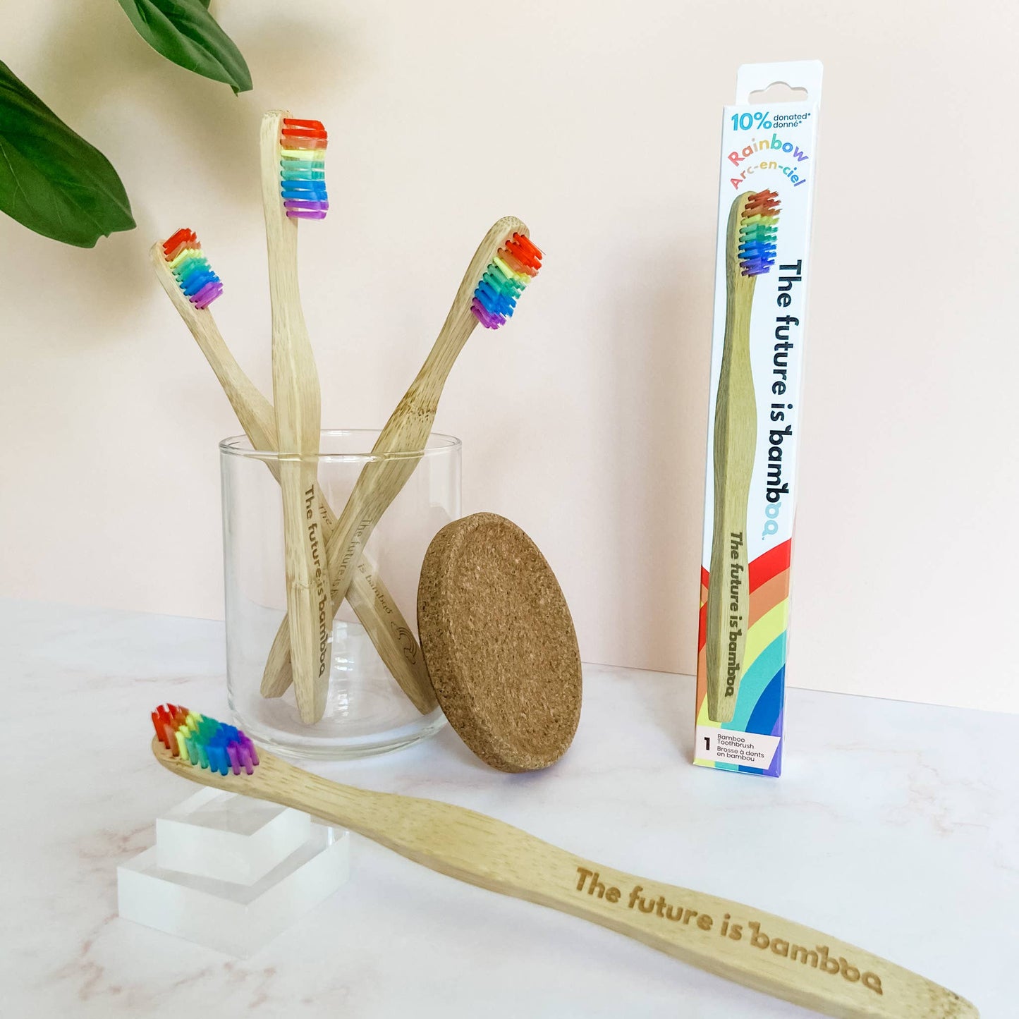 Rainbow Adult Soft Bamboo Toothbrush