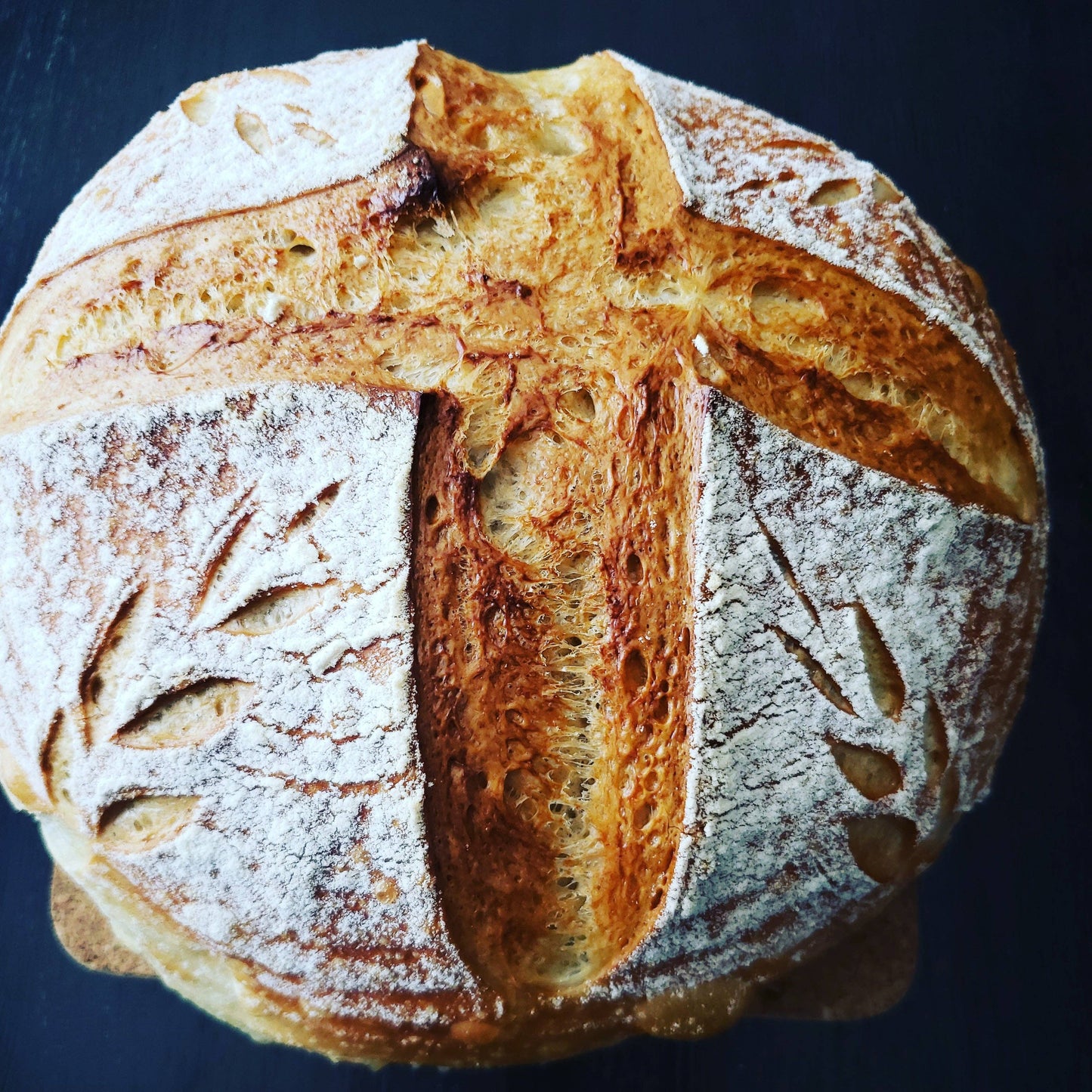 130 Year Old Summit Sourdough Starter Kit
