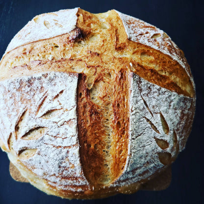 130 Year Old Summit Sourdough Starter Kit