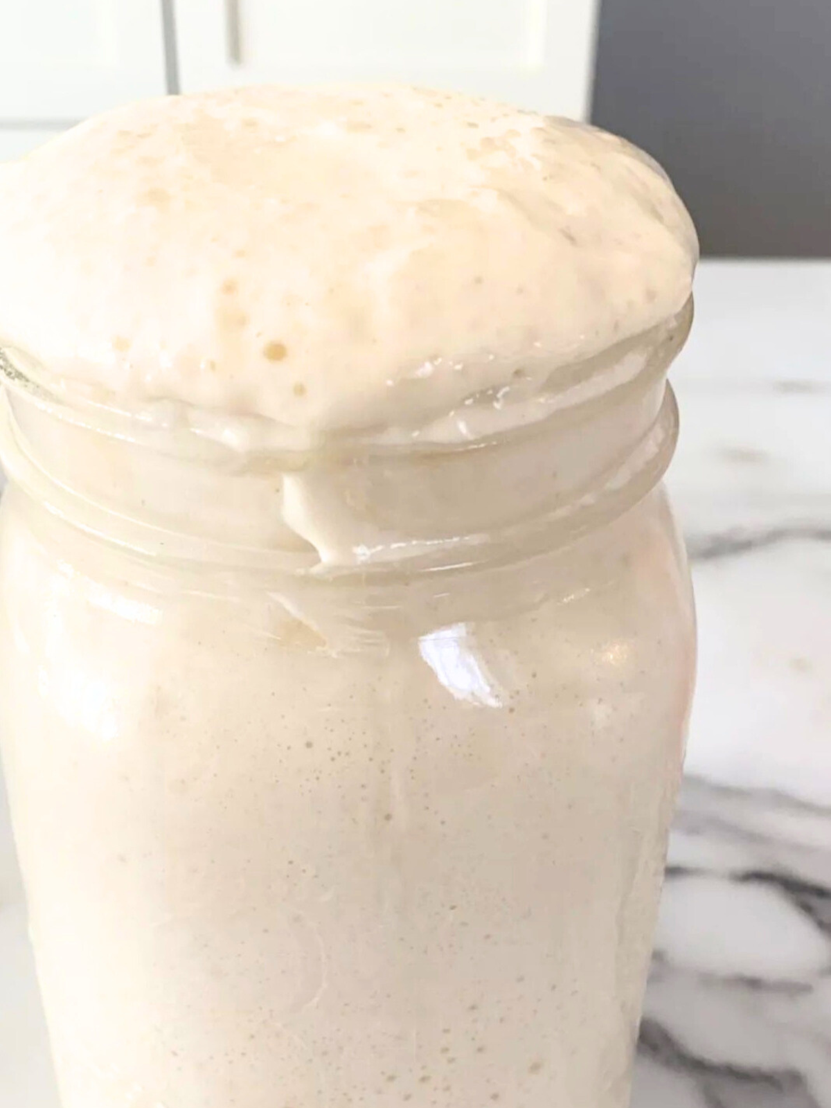130 Year Old Summit Sourdough Starter Kit