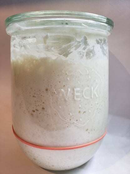 130 Year Old Summit Sourdough Starter Kit