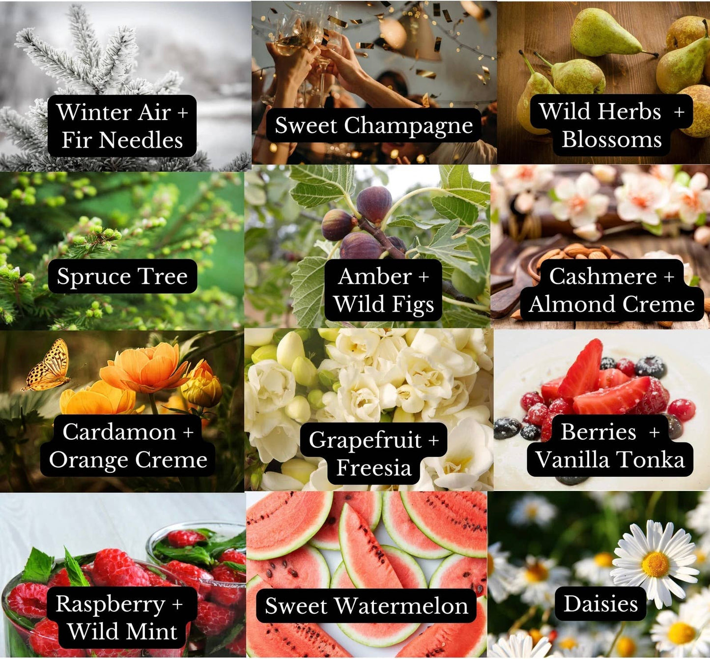 SEASHELLS | Sweet Watermelon | CAR DIFFUSER