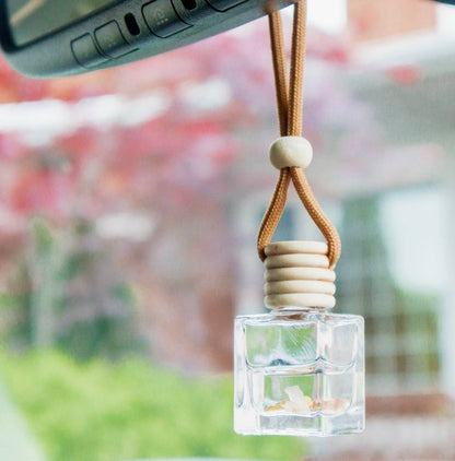 CARNELIAN CRYSTALS | CAR DIFFUSER