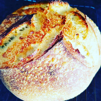 130 Year Old Summit Sourdough Starter Kit