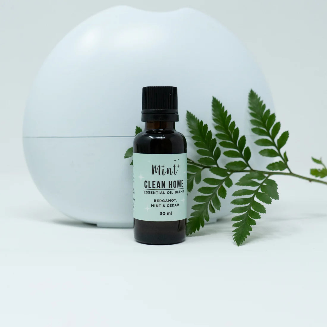 Mint Cleaning Clean Home - Essential Oil Blend