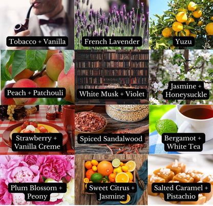 Amber Crystals | Zesty Orange & Grapefruit | Car Diffuser