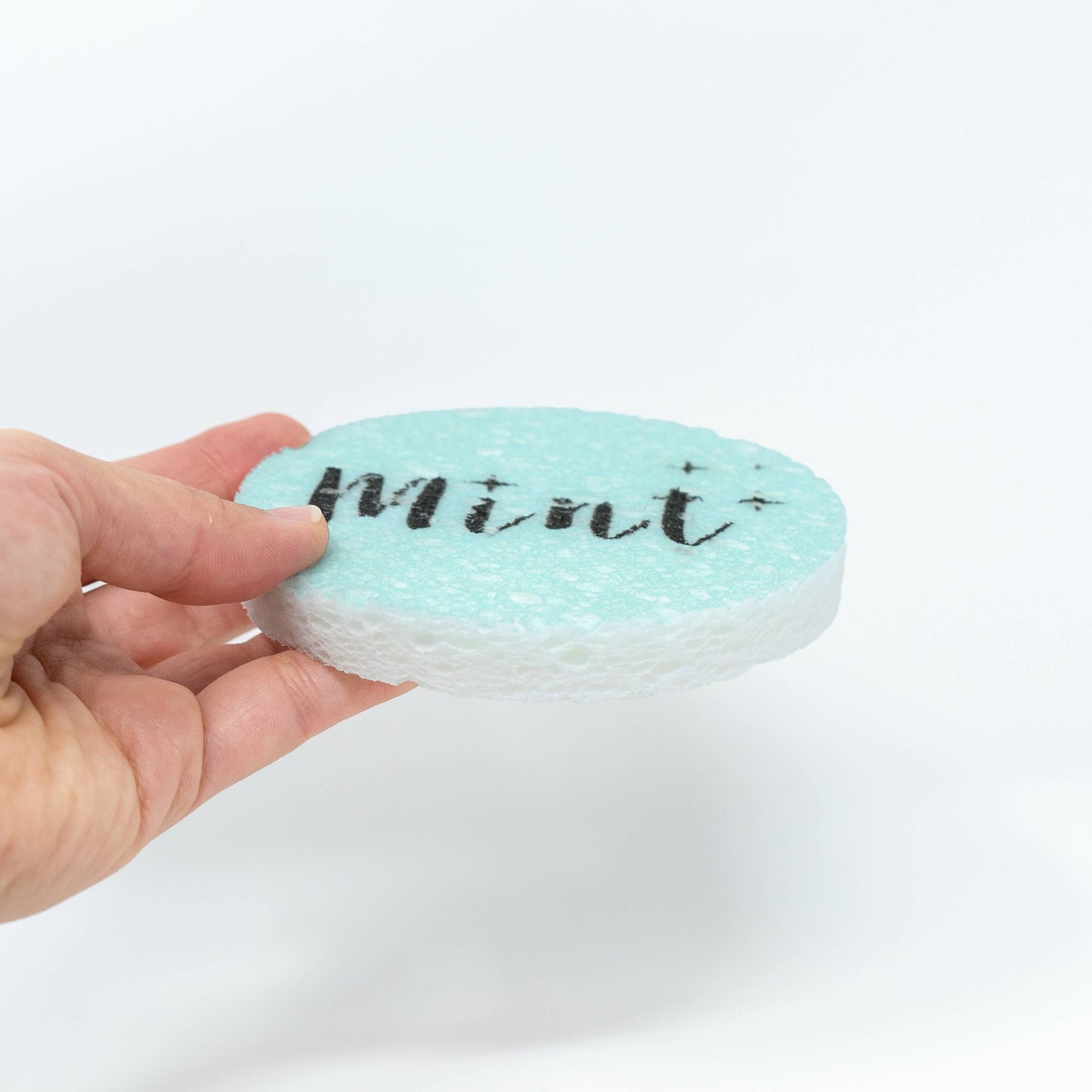 Mint Cleaning Eco-Sponge