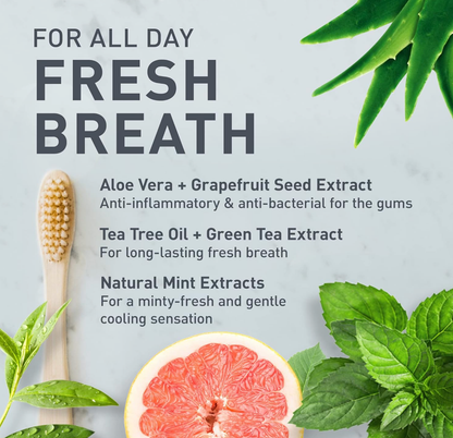 Fresh Mint - Solid Toothpaste Tabs - 2-month supply 