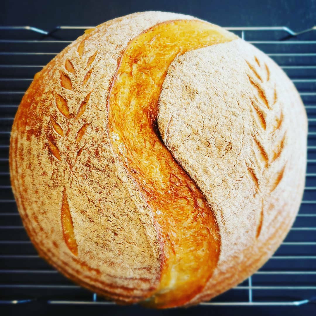 130 Year Old Summit Sourdough Starter Kit