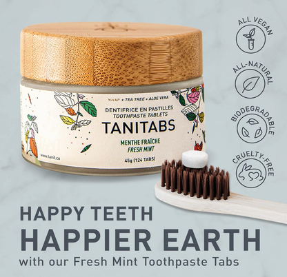 Fresh Mint - Solid Toothpaste Tabs - 2-month supply 