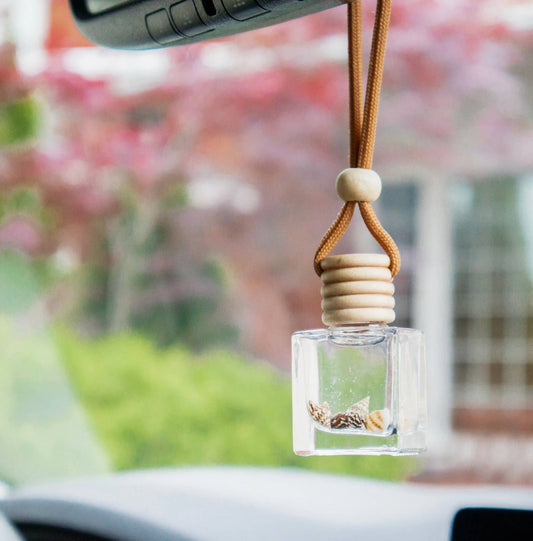 A Pleasant Thought - peach and patchouli | CAR DIFFUSER