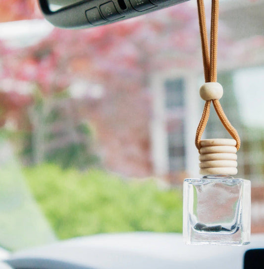A Pleasant Thought - sage and wild mint | CAR DIFFUSER