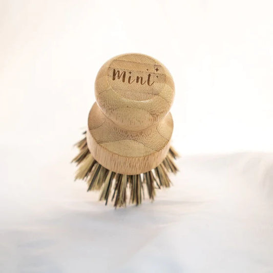 Mint Cleaning Bamboo Dish Brush