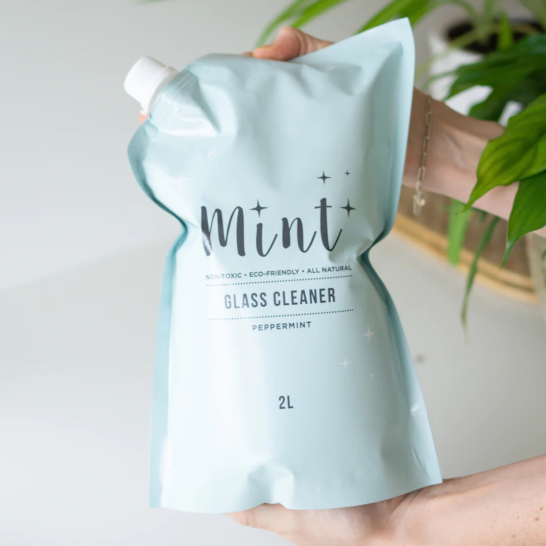 Mint Cleaning Glass Cleaner 2L Pouch Refill